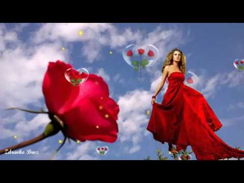 TRI RUŽE  -  Blatars Band