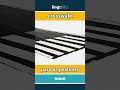 crosswalk - paso de peatones video thumbnail
