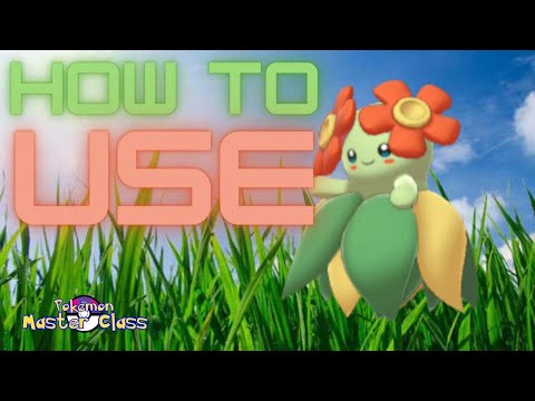 HOW TO USE BELLOSSOM - SwSh Ranked, Showdown, and VGC Guide