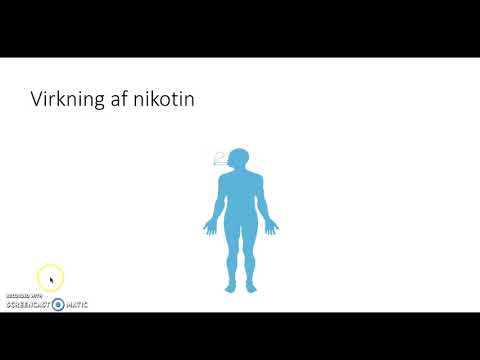 Virkning af nikotin på hjernen