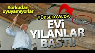 Yüksekova'da Evi Yılanlar Basınca, Evlerini Terk Ettiler