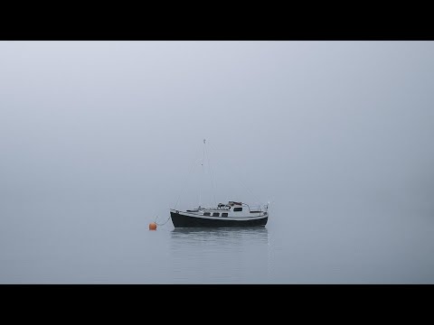 Nu poți dovedi credință - Nicolae Moldoveanu