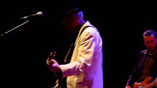 Luke Haines @ Queen Elizabeth Hall