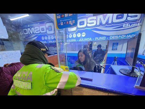 Avoid These Scam Bus Companies in Peru! 🚌🇵🇪