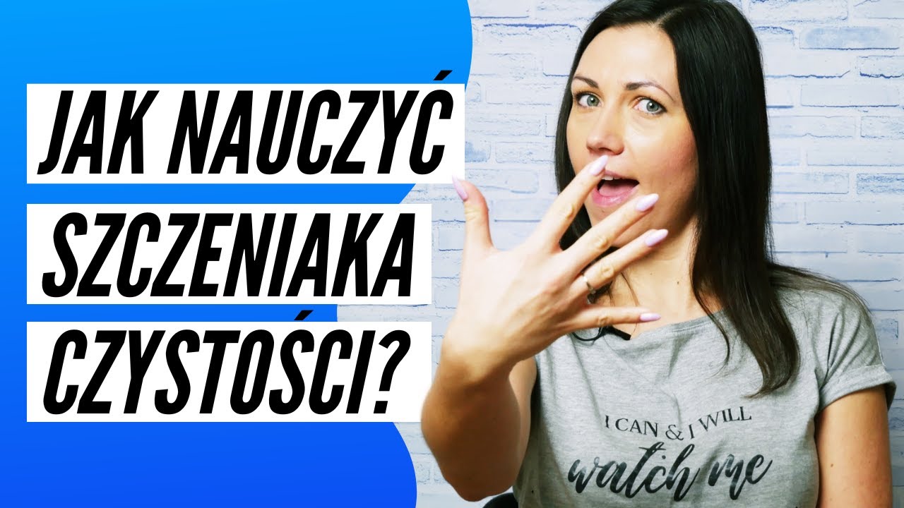 JAK NAUCZYĆ SZCZENIAKA CZYSTOŚCI 5 prostych kroków