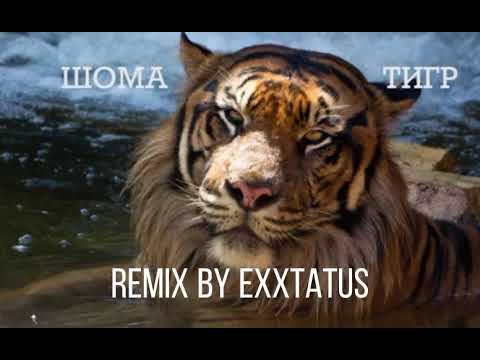 Шома тигр - дура (remix by KAVKAZ PLAYA)