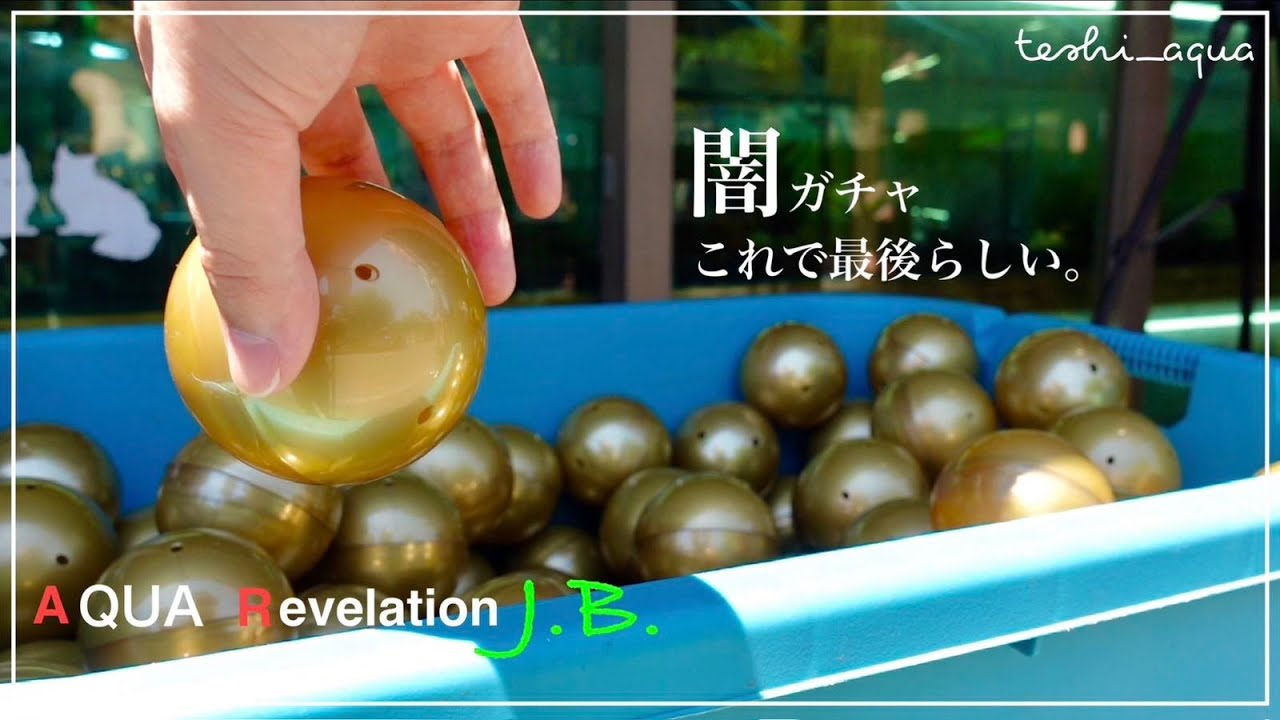 闇ガチャが最後らしいので行ってきた。【アクアリウム】/aquarium/vlog/#37