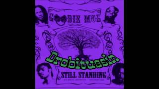 Goodie Mob - See You When I See You (screwed and chopped)