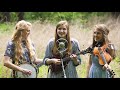 Fields of Gold The Petersens LIVE von Fields of Gold The Petersens LIVE von