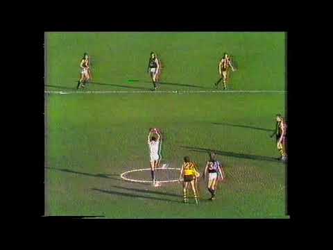 1982 Qualifying Final Carlton vs Hawthorn at the MCG - Winners Highlights