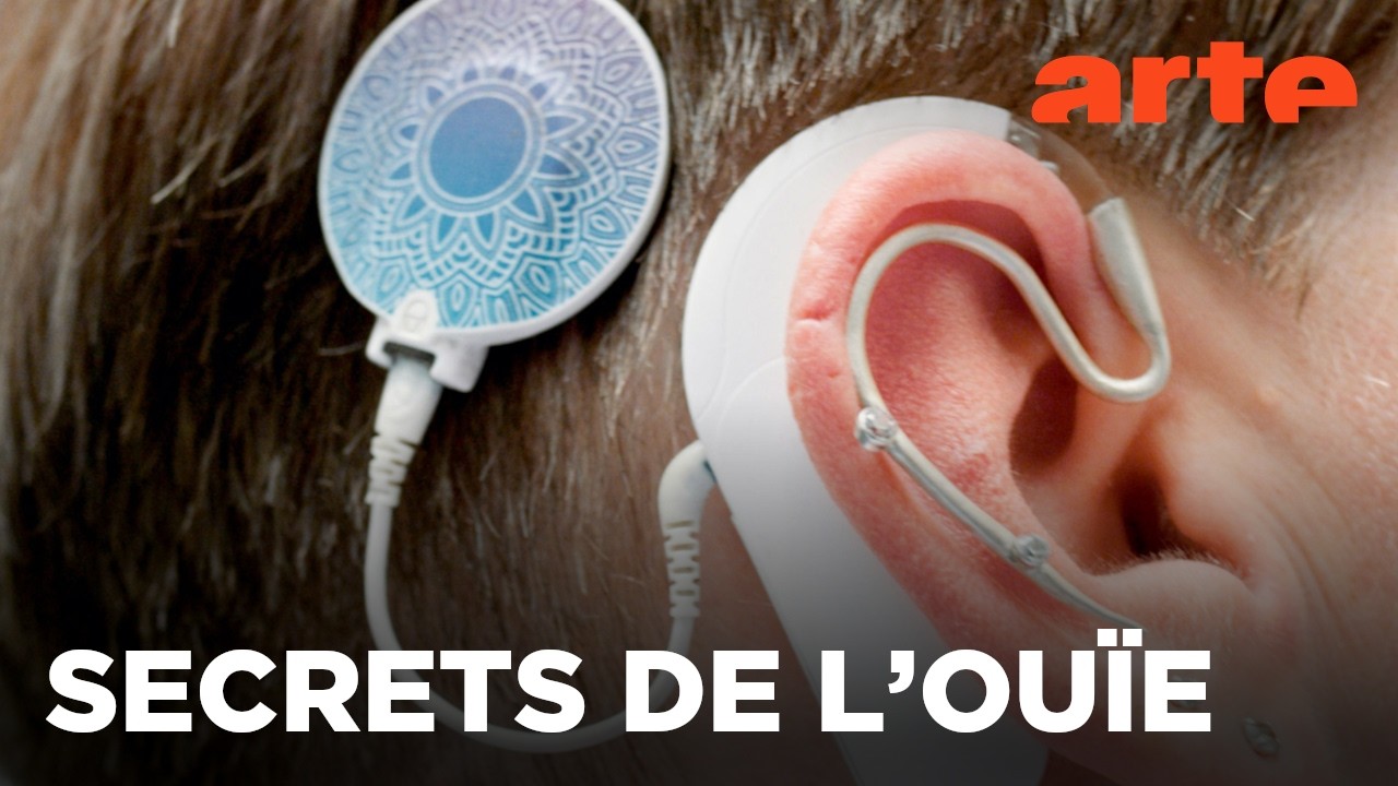 Les mécanismes de l’audition | Documentaire | ARTE