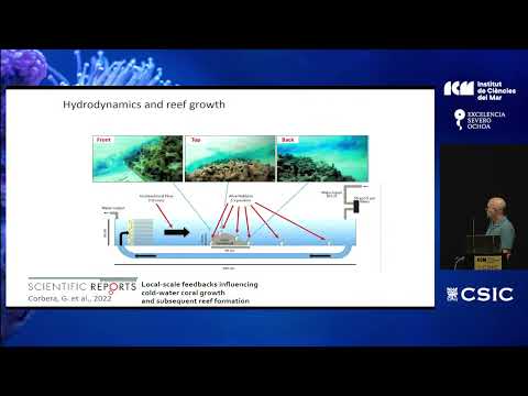 Cold-Water Coral ecosystems in the Alboran Sea - Dr. Claudio Lo Iacono