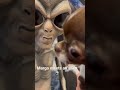 Margo Meets Her Father