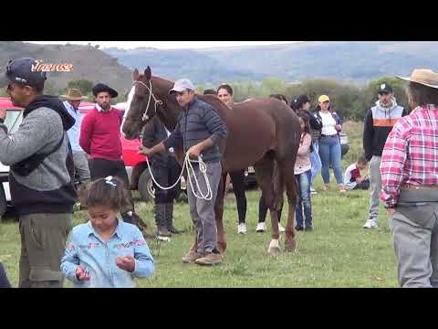 Carreras de Caballos Pista Cañas 18-09-22