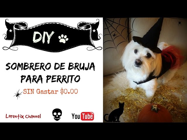 Vídeo relacionado con Sombrero de Halloween para perro, disfraz de Demogorgon, gato, perro, sombrero de Halloween, extraño, bricolaje, demodog, cosplay, sombrero lindo ceepdoogle