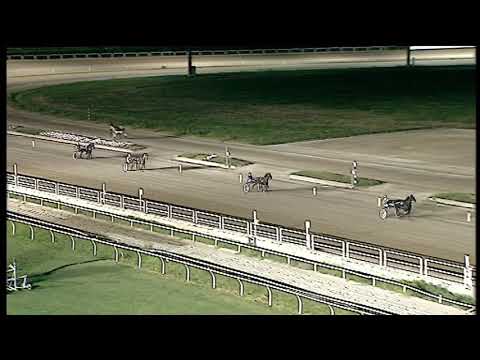 Trotto 17/07/2020 - 3ª prova di qualifica