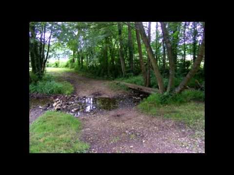 Jakobsweg Tag 14 Ainay-le-Château – Cluis