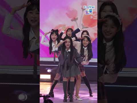 [세로직캠]미스트롯 5인 - 님이 좋아 화요일은 밤이 좋아