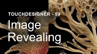 Image Revealing (New) – TouchDesigner Tutorial 59