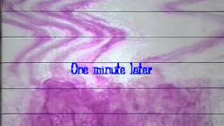 Experiment II: Stratified Convection