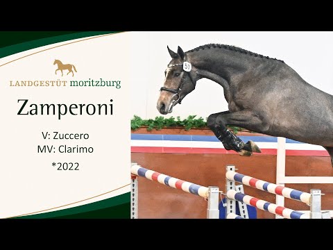 ZAMPERONI v. Zuccero - Clarimo