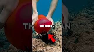 Download lagu Will it Pop? mp3