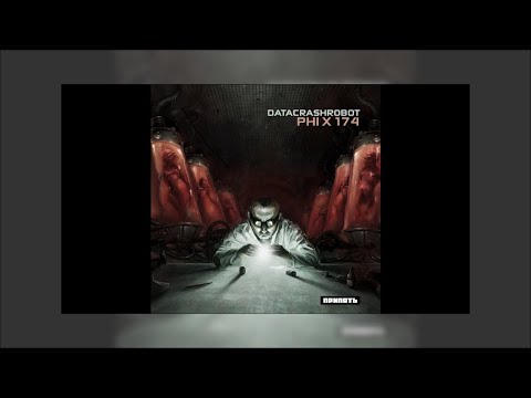 Datacrashrobot - PHI X 174 - 02 Pyrosequencing