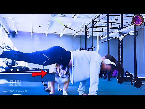 Most Incredible Moments Caught on Camera | Best Compilation #13