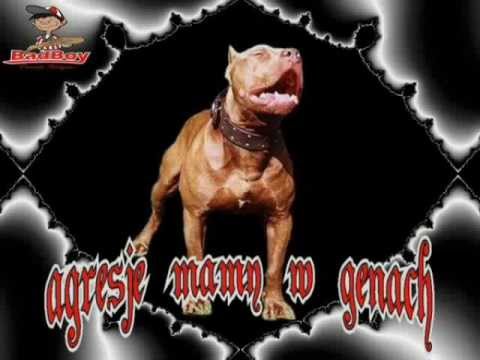 popek monster najlepsza jego zwrotka