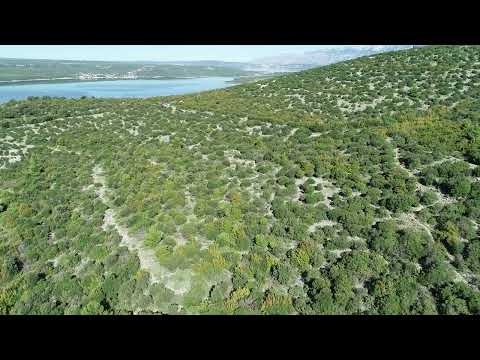 #itisnottoolate Rijeka Bijela - Gornji Karin 05.09.2020