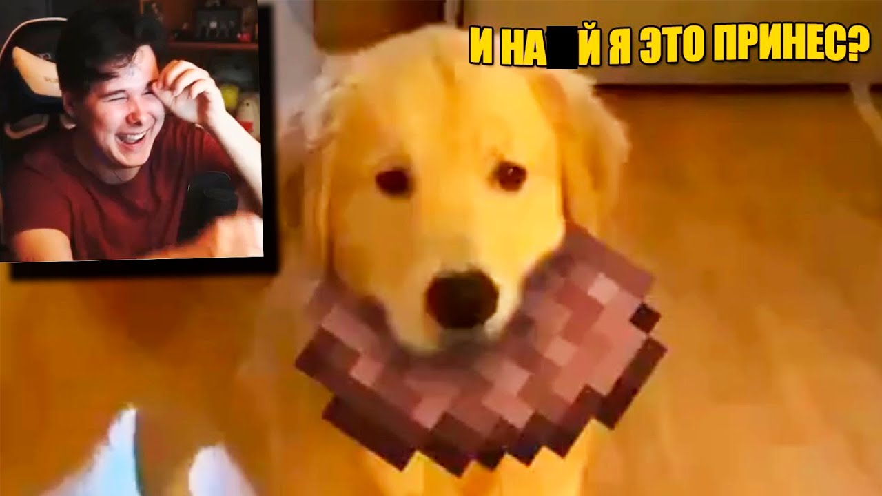 7 МИНУТ СМЕХА | ЛУЧШИЕ ПРИКОЛЫ МАРТ 2020 ПОПРОБУЙ ЗАСМЕЯТЬСЯ ЧЕЛЛЕНДЖ ЗАСМЕЯЛСЯ ПРОИГРАЛ