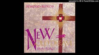 Colours Fly And Catherine Wheel - Simple Minds