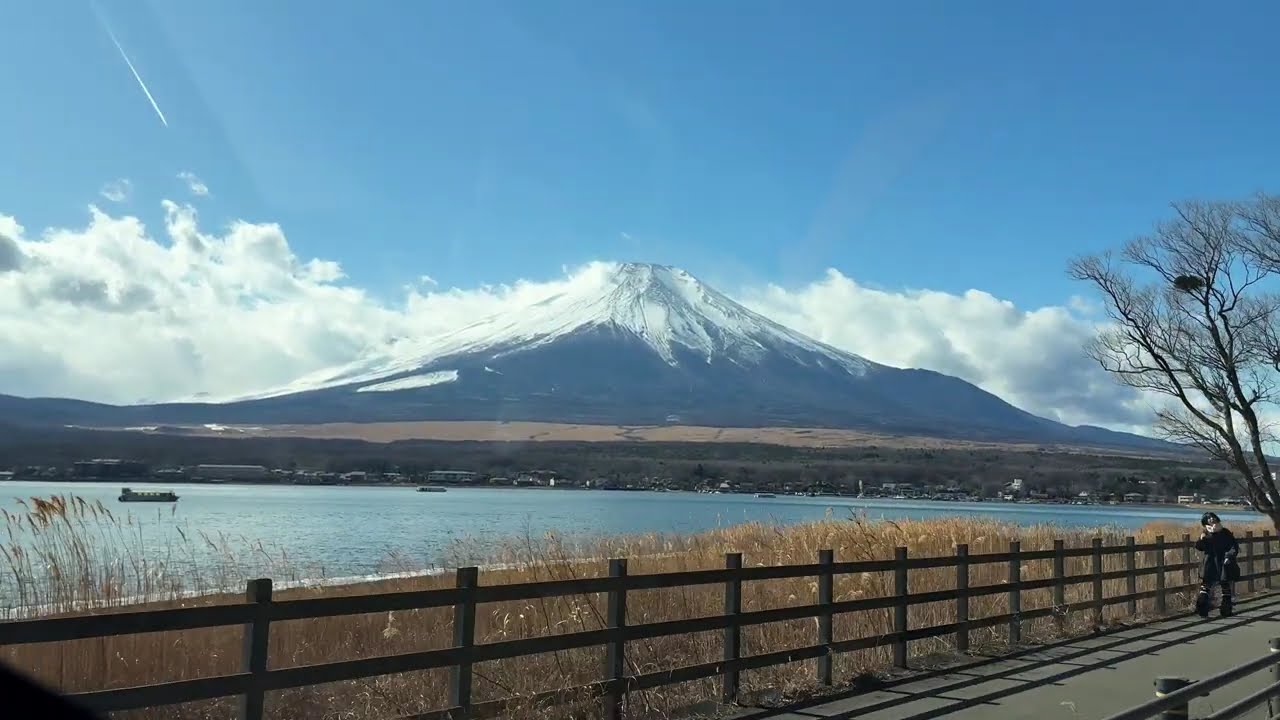 路上，风很干净，我也一样