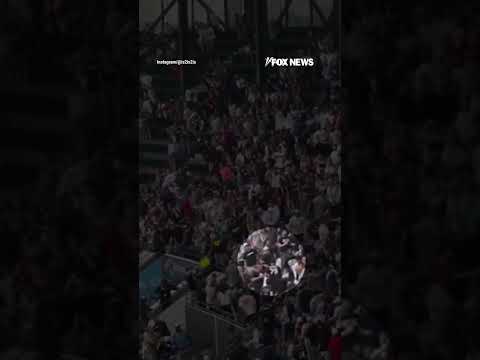 GRAPHIC WARNING: Fan leaps two rows to stomp man during WILD baseball brawl #foxnews #news #shorts
