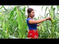 Wow Cook Corn And Eat Corn For Food Natural Corn In My Village Ep 76