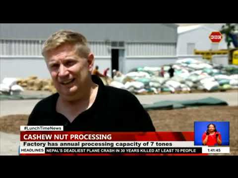 Cashew nuts and more EPZ LTD opens in Kilifi County. Seeks to revitalize the production