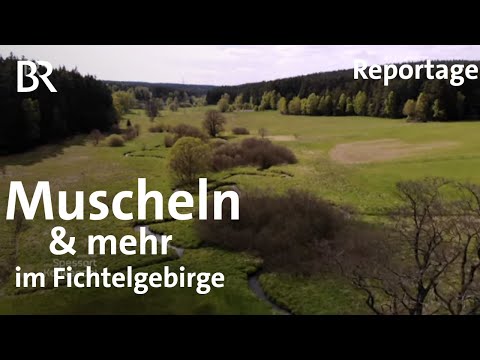 Streifzug im Fichtelgebirge: Perlen und Porzellan | Zwischen Spessart und Karwendel | BR