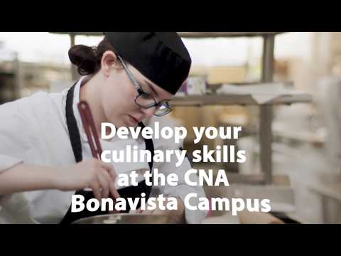 Cultural Culinary Arts & Tourism