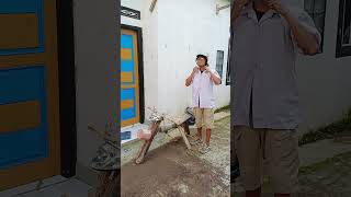 Download lagu the motorbike is cool and nice mp3