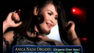 Download lagu Gangnam Style DIAN ANIC - PULSAKU HABIS (ORIGINAL) mp3