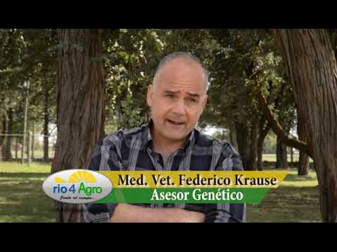 PROGRAMA RIO 4 AGRO 21 11 BLOQUE 1