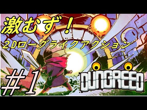 #1【ローグライク】これクリアできるかわからんw【ダングリード】