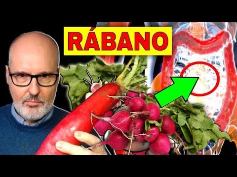 RÁBANO: Poderoso Vegetal para una SALUD INTEGRAL