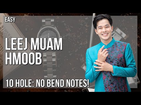 How to play Leej Muam Hmoob by Win Vang ft Huab Vwj on Diatonic Harmonica 10 Holes (Tutorial)