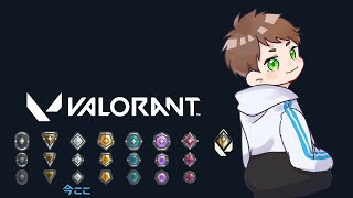 VALORANT | 真夜中のソロコンペ