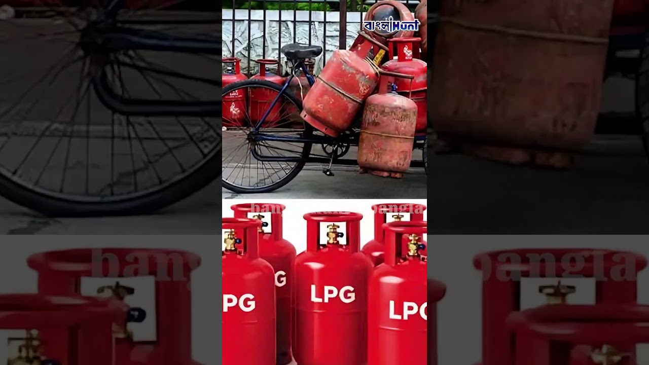 The Art of Baking: From Classic Bread to Artisan Pastries