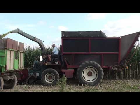 Landb. Van Vynckt-Snauwaert – Wortegem-Petegem - Mengele TH2 H - International 1246