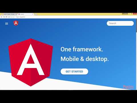 Learn Angular in 3 Hours ngFor and Trackby|packtpub com