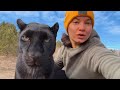 Forest walking with Luna the panther & Co 😸🐾(ENG SUB)