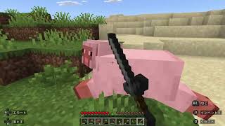 年金生活者のマイクラ生活をはじめました
